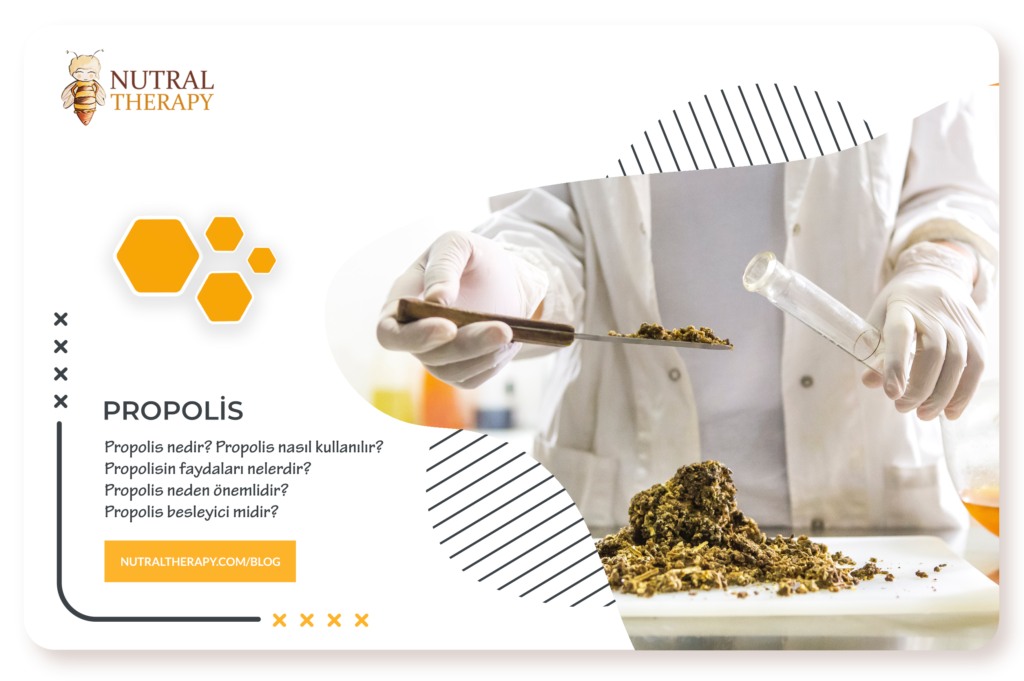 Propolis nedir? Nasıl kullanılır? Faydaları nelerdir?